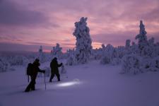 Das sind die besten Möglichkeiten, um die Nordlichter in Finnland zu sehen