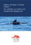 Delfine und Wale in Freiheit erleben
