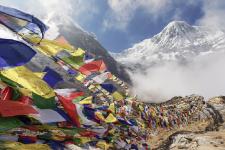Neue Entdeckertour durch den Himalaya: Mit Marco Polo zum Reisbier-Brauer werden