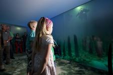 Pfahlbaumuseum: Einführung und Multimediashow "ARCHAEORAMA" ab sofort in Englisch