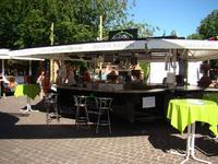 Wandern zum Wein am Eckberg
