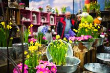 Oldenburger Gartentage machen Lust auf Frühling!