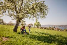 Heimatverbunden & erlebnisreich: Pfingsten in Konstanz am Bodensee