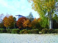 Herbstzeit, Kurzurlaubszeit - beste Zeit für ein "Müritz Weekend"