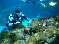 Ehrengäste zum Hai-Live Event im SEA LIFE Speyer