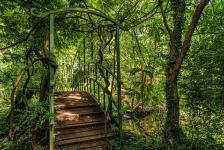 „On the go“ im Schlosspark Dennenlohe – Photowettbewerb 2020