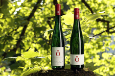Medienagenten mit red dot design award gekürt
