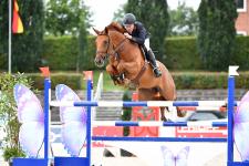 Verdener Auktionen - Start in eine Sportkarriere, die auch in das Internationale Dressur- und Springfestival führt