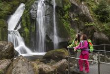 Wandern im Schwarzwald
