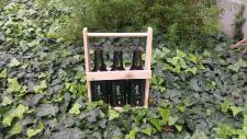 Green Cola - Green Lifestyle: Die erste Cola, die eine vegane und grüne Lebensweise möglich macht