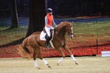 EQUITANAs Firlefranz: Ingrid Klimkes Nachwuchstalent wird EQUITANA-Botschafter