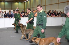 2. TIERWELT in der MESSE MAGDEBURG