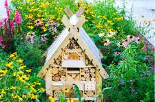 Nützlinge im Garten: Das sollten Sie wissen