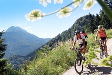 Mostviertel Mountainbike-Karte überarbeitet & neu aufgelegt