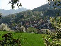 Förderverein zum Schutz und zur Pflege von Natur und Landschaft der Südlichen Weinstraße e. V.: Vorstandsmitglieder gewählt und Förderprojekte beschlossen - neue Mitglieder im Förderverein herzlich willkommen