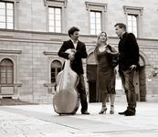 eteria Klaviertrio - Drei Trios in C