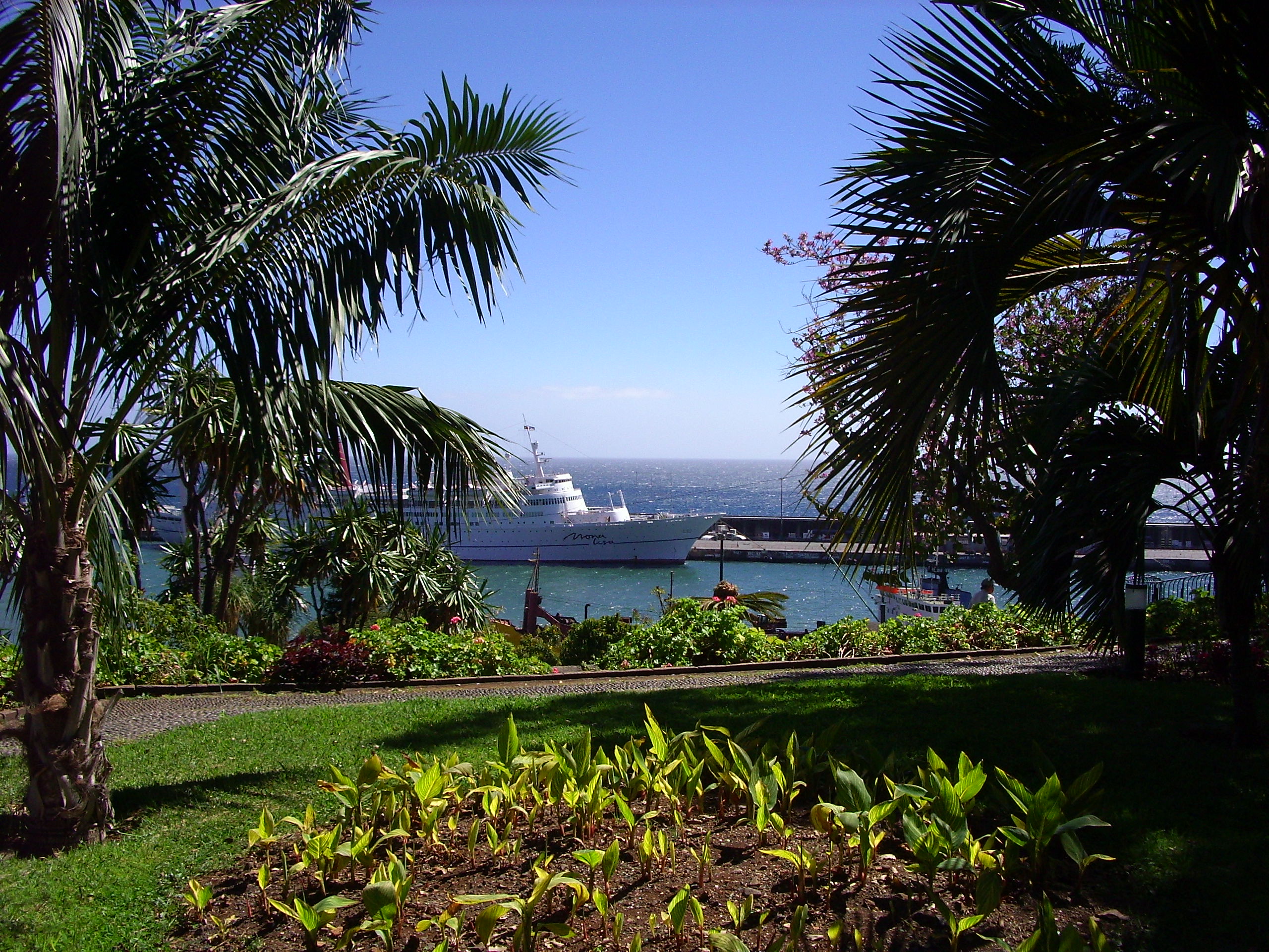 Madeira zum ersten Mal Landgang im Job an Bord, backup jobs agency s