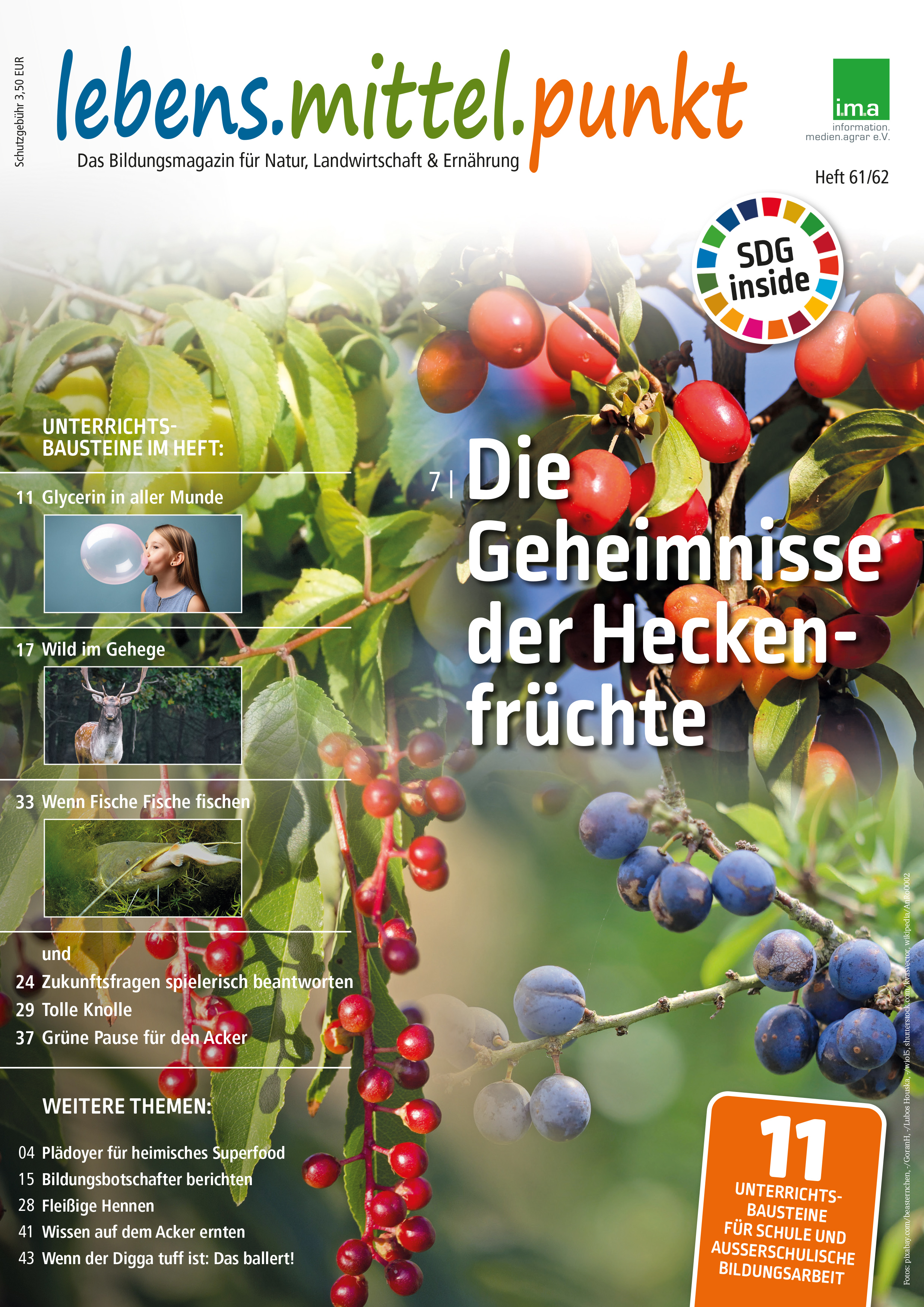 Bildungsmagazin-stellt-Nachhaltigkeit-in-den-Mittelpunkt