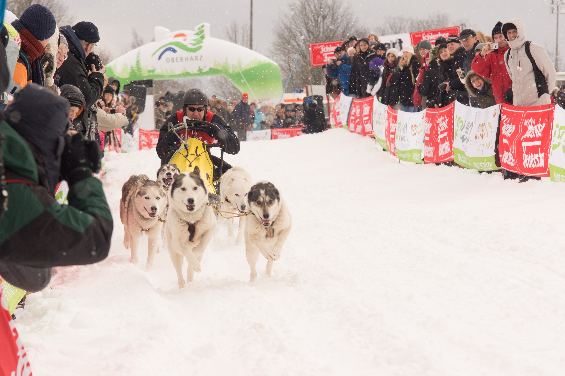 Clausthal-Zellerfeld-Oberharzer-Schlittenhunde-Adventure-am-24-und-25-Januar-2026