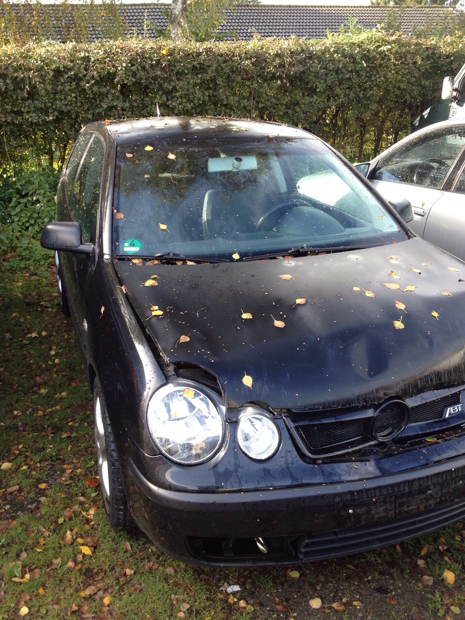 Autoankauf-Idar-Oberstein-Autoh-ndler-aus-Ihrer-Umgebung-kaufen-Ihren-Gebrauchtwagen