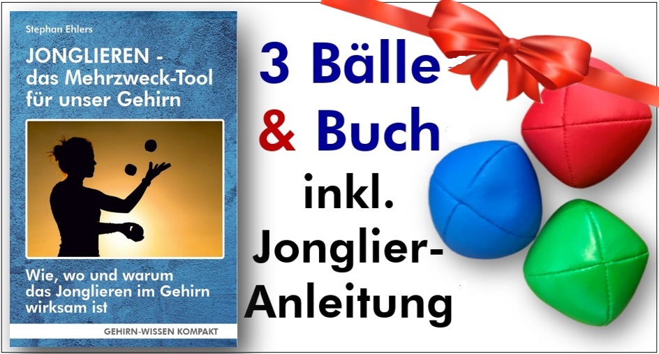 Vom-Spielzeug-zum-Gesundheits-Tool-drei-B-lle-im-Fokus