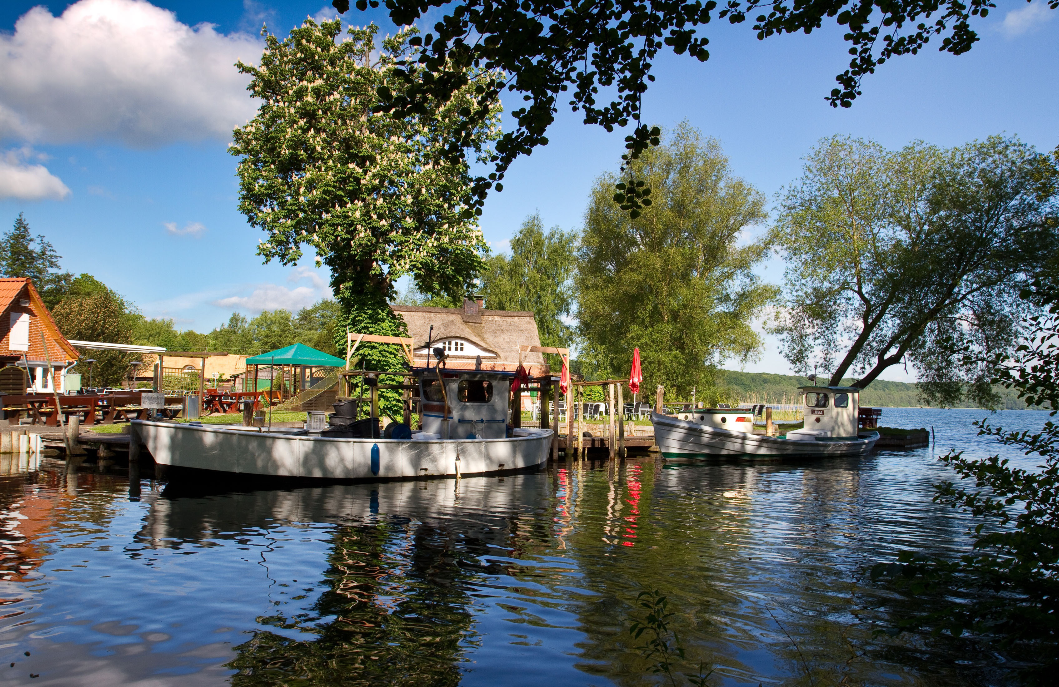 Der Ratzeburger See: Heimat von Fischer und Maräne ...