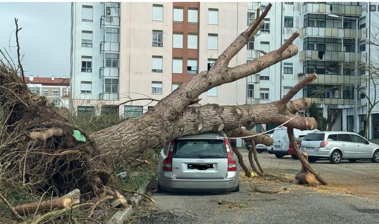 Portugal-Adventistische-Kirchengemeinden-und-ADRA-mobilisieren-Hilfe-nach-Orkan-Kristin