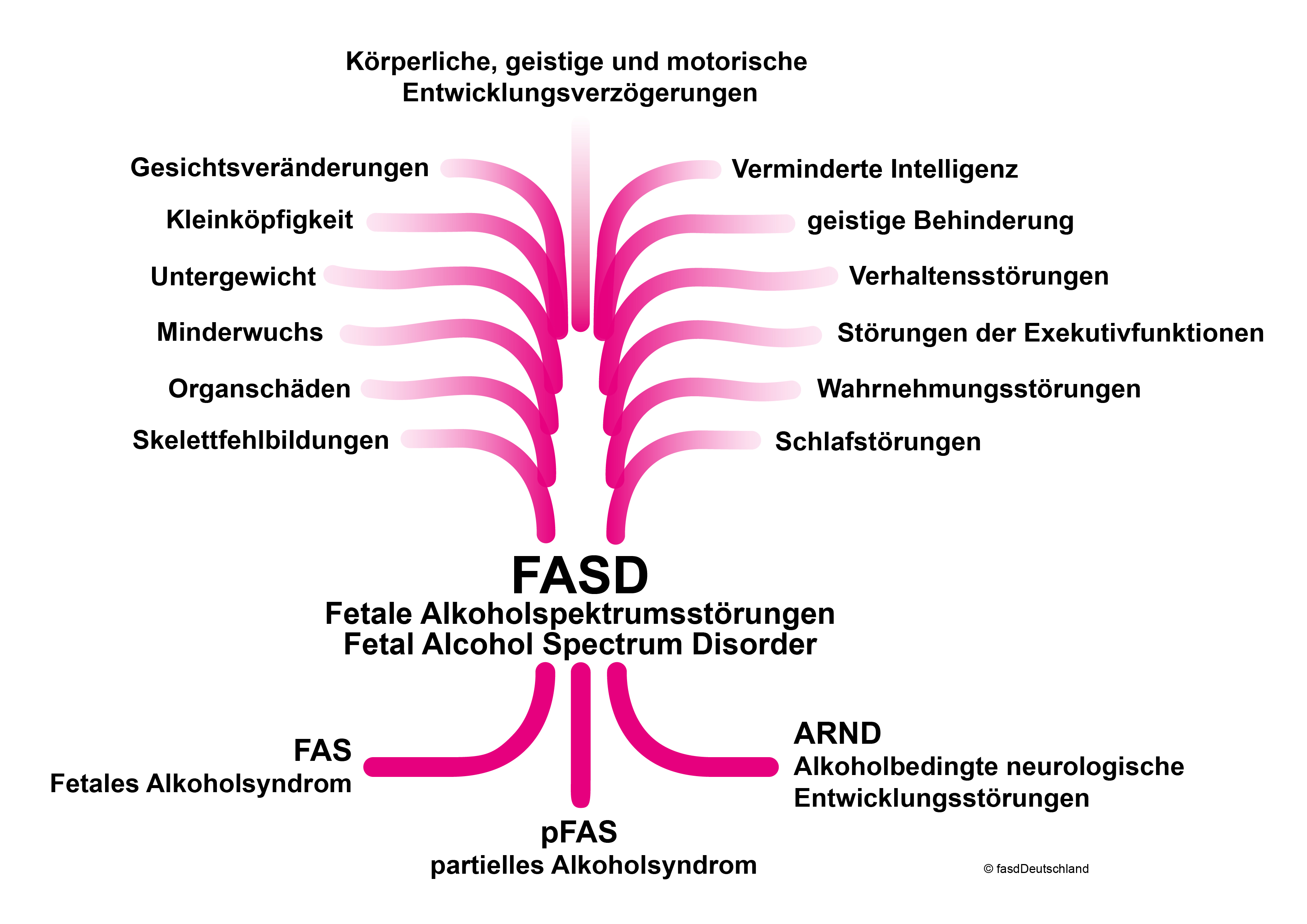Kein-harmloses-Glas-Alkohol-in-der-Schwangerschaft-sch-digt-lebenslang