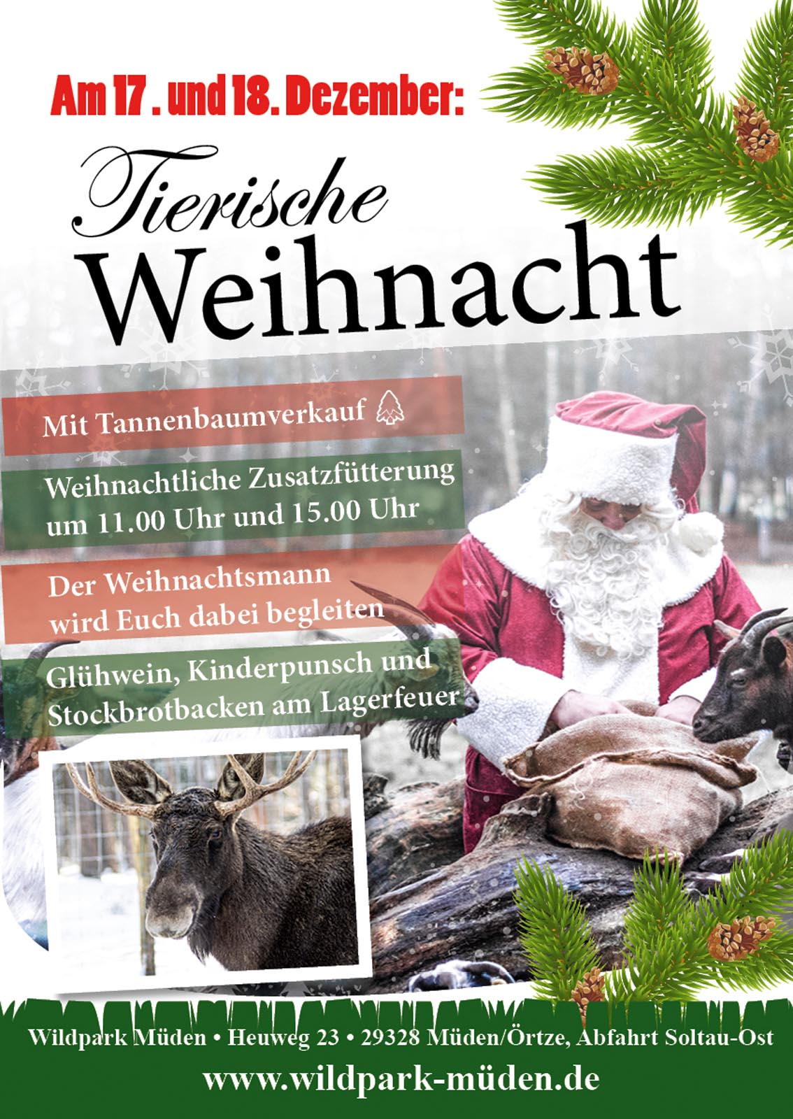 Tierische Weihnacht im Wildpark Müden, Wildpark Müden GmbH, Pressemitteilung - lifePR