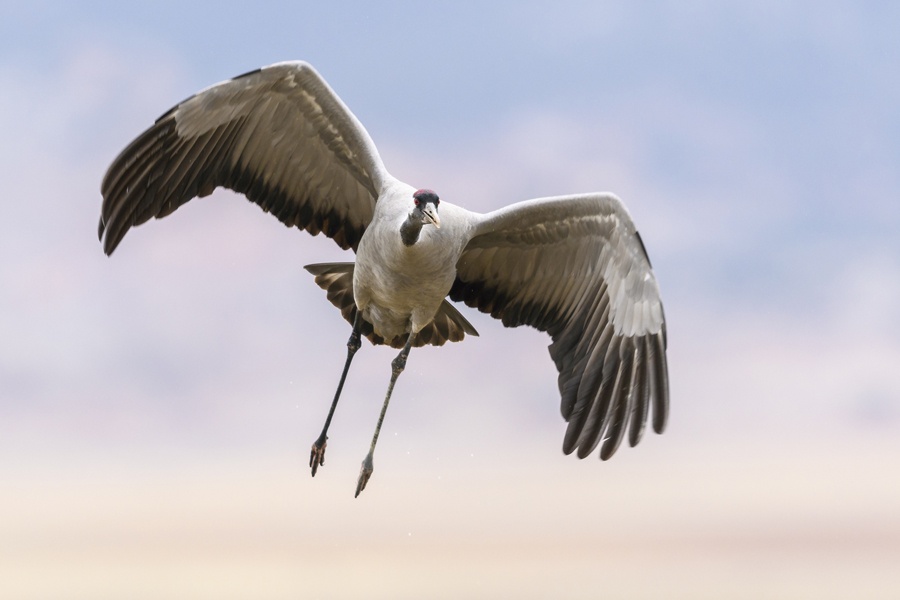 Programm-im-Kurhaus-Bad-Bevensen-Von-Advent-bis-Neujahr