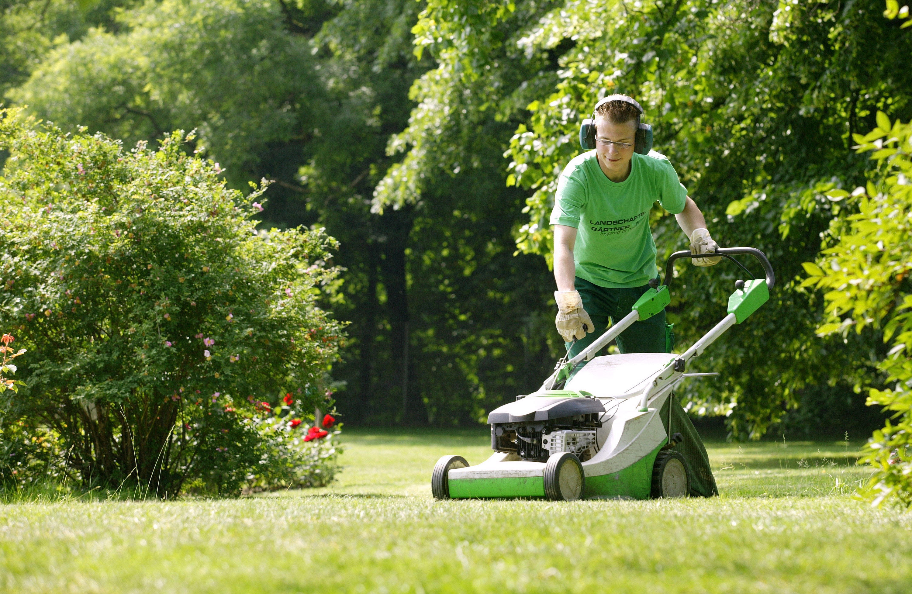 Frühjahrskur für den Rasen: Jetzt ist der richtige Zeitpunkt, Immowelt