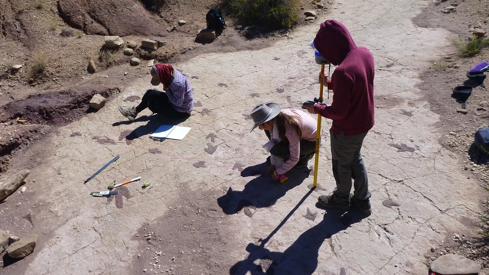 Adventistische-Wissenschaftler-leiten-bahnbrechende-Studie-ber-die-weltweit-gr-te-Dinosaurier-Fu-abdruckfundst-tte