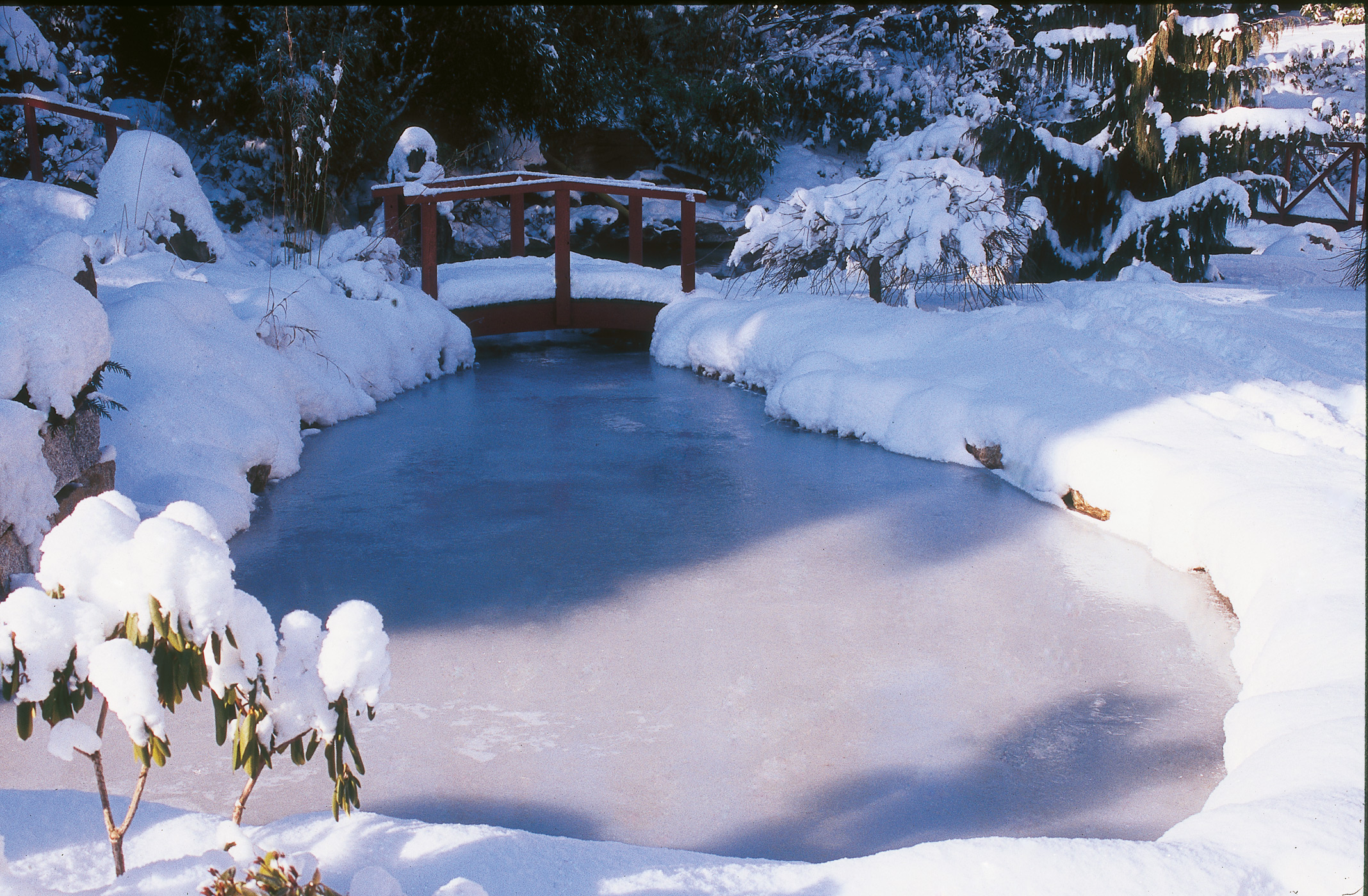 Den Gartenteich im Winter pflegen, Söll GmbH, Story lifePR