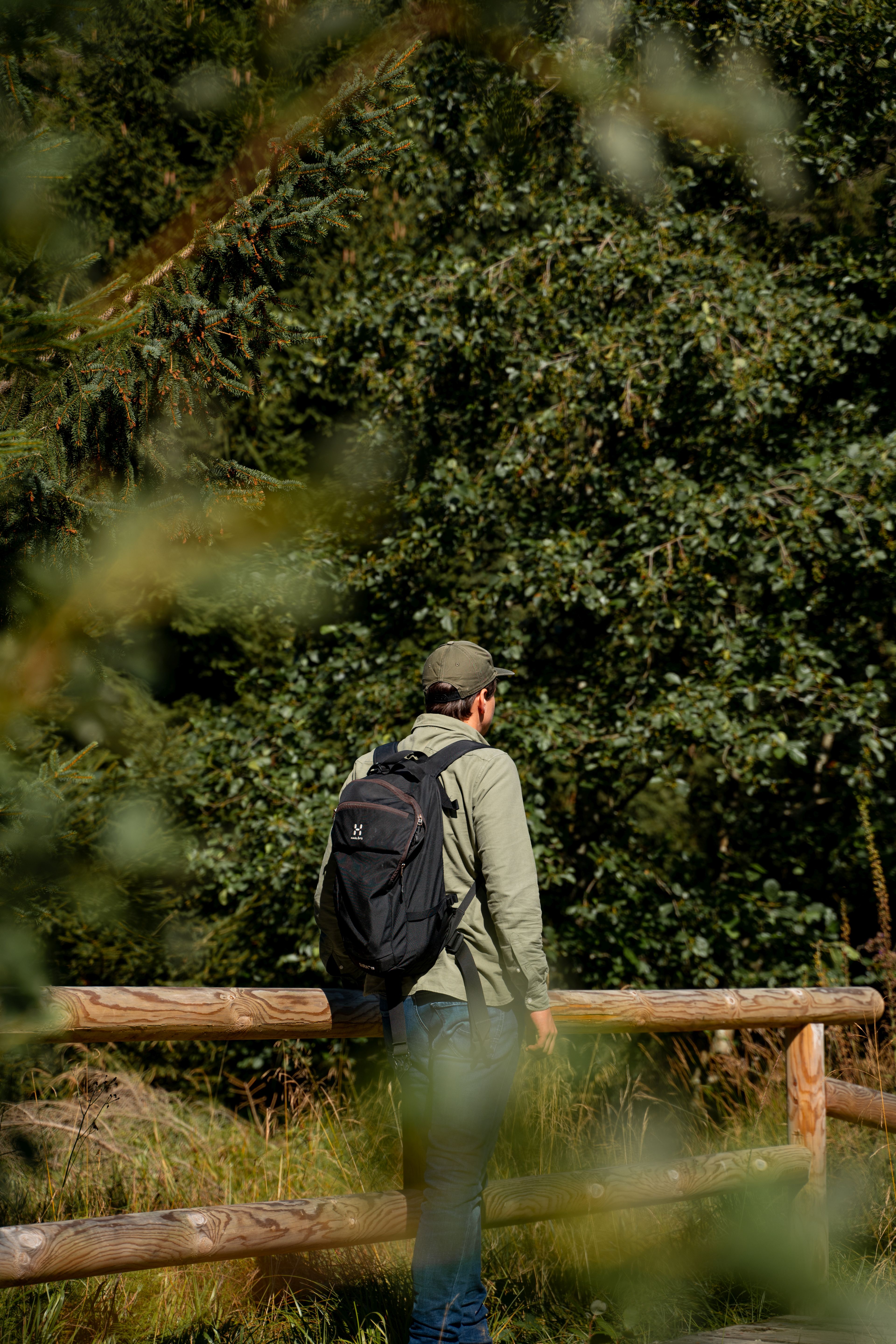 Wanderangebot-des-Harzklub-Bad-Harzburg-im-Monat-Juli