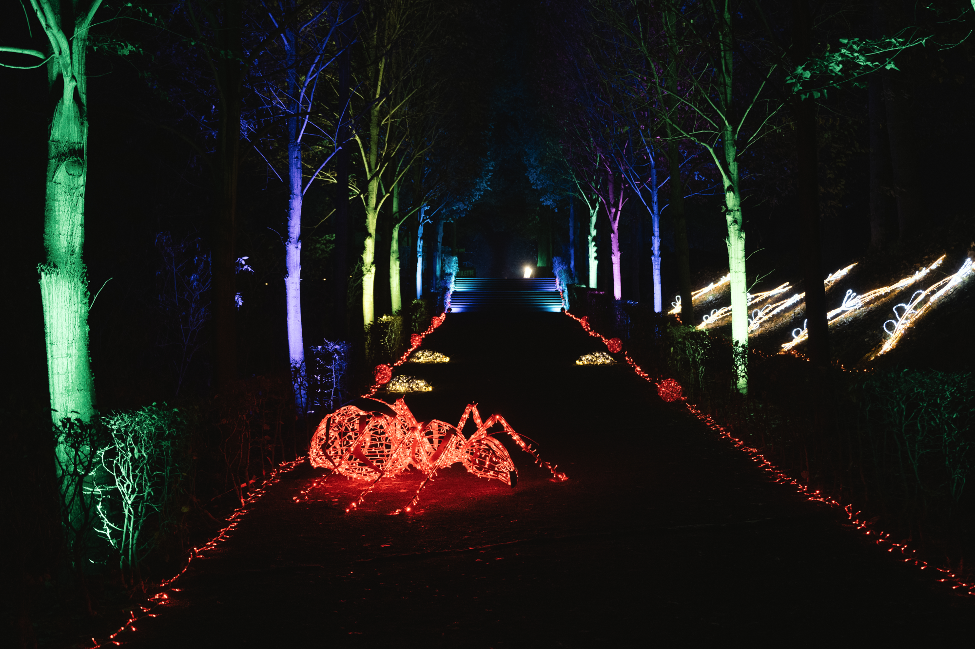 Wegen großem Besucherandrang - Verlängerung Lichtfestival LUMAGICA  Lichtenwalde bis 26.02.2023, AugustusburgScharfensteinLichtenwalde  Schlossbetriebe gGmbH, Story - lifePR