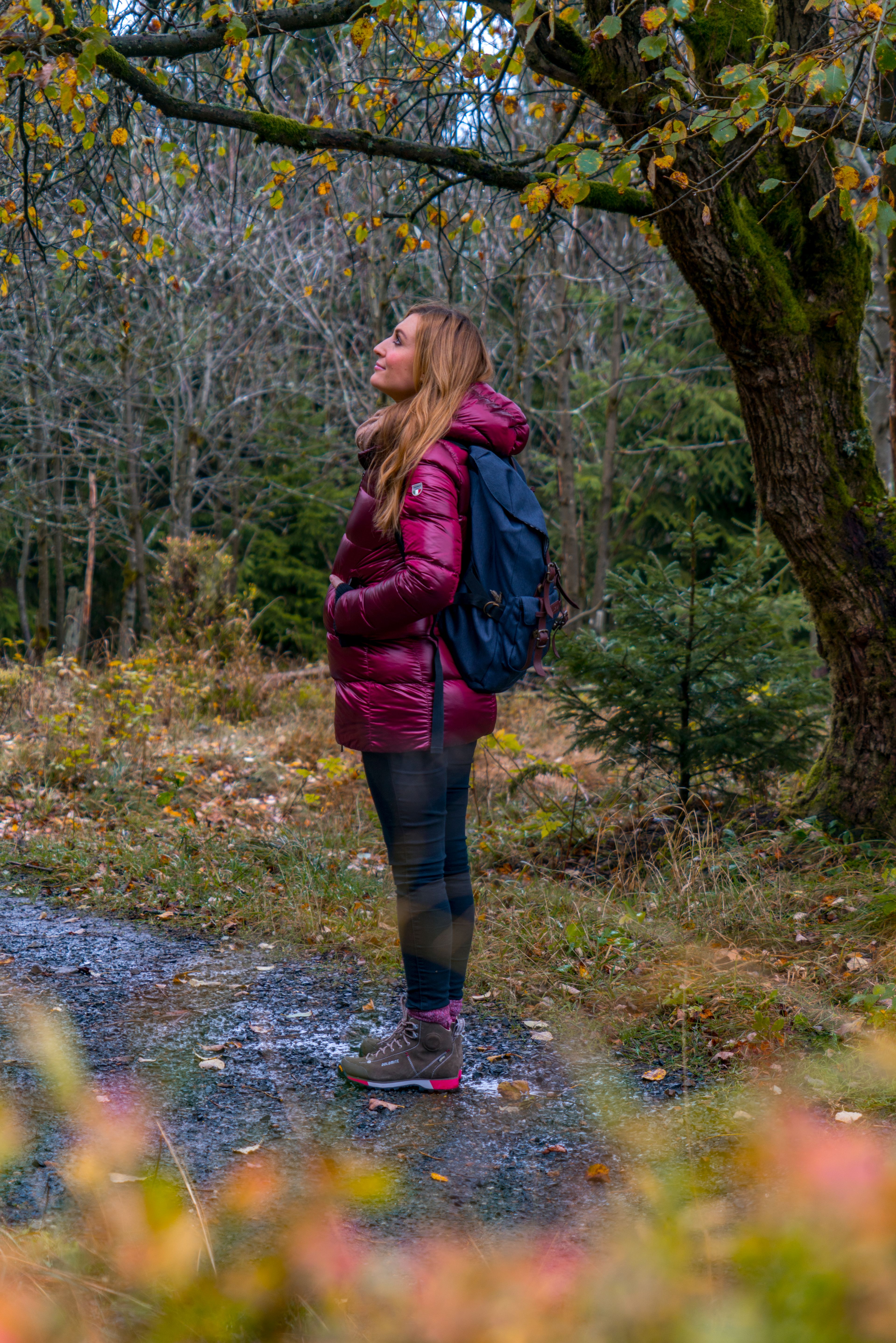 Die Breitenberge im Herbst, Kur, Tourismus und Wirtschaftsbetriebe