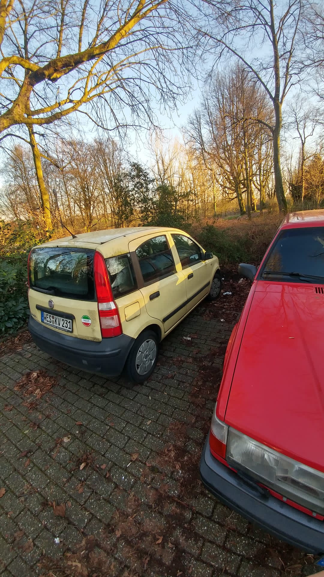 Autoverschrottung-in-Gelsenkirchen-leicht-gemacht