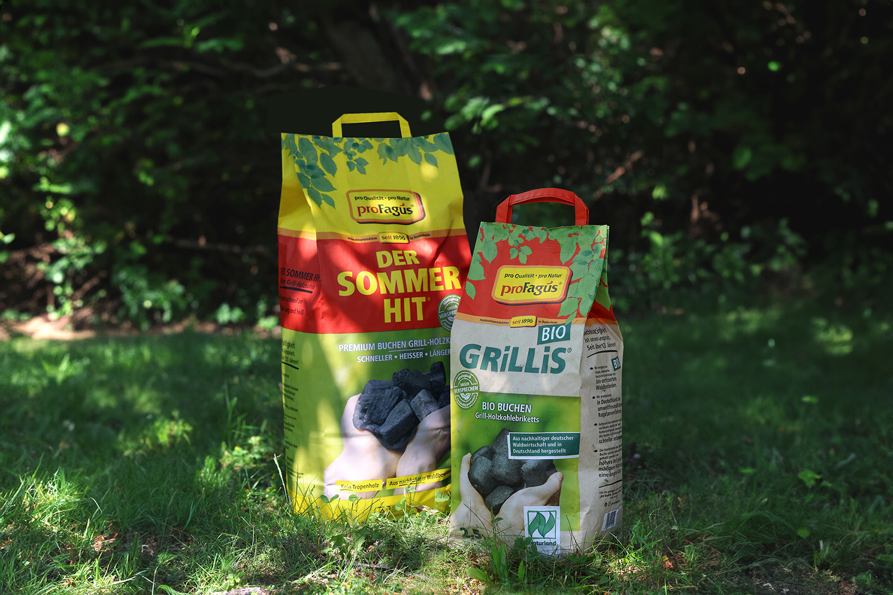 proFagus GmbH, Newsroom: Info - lifePR