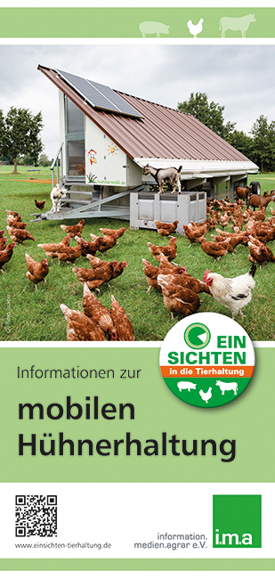 Nicht nur zu Ostern: &amp;quot;EinSichten&amp;quot; in die Hühnerhaltung, i.m.a ...