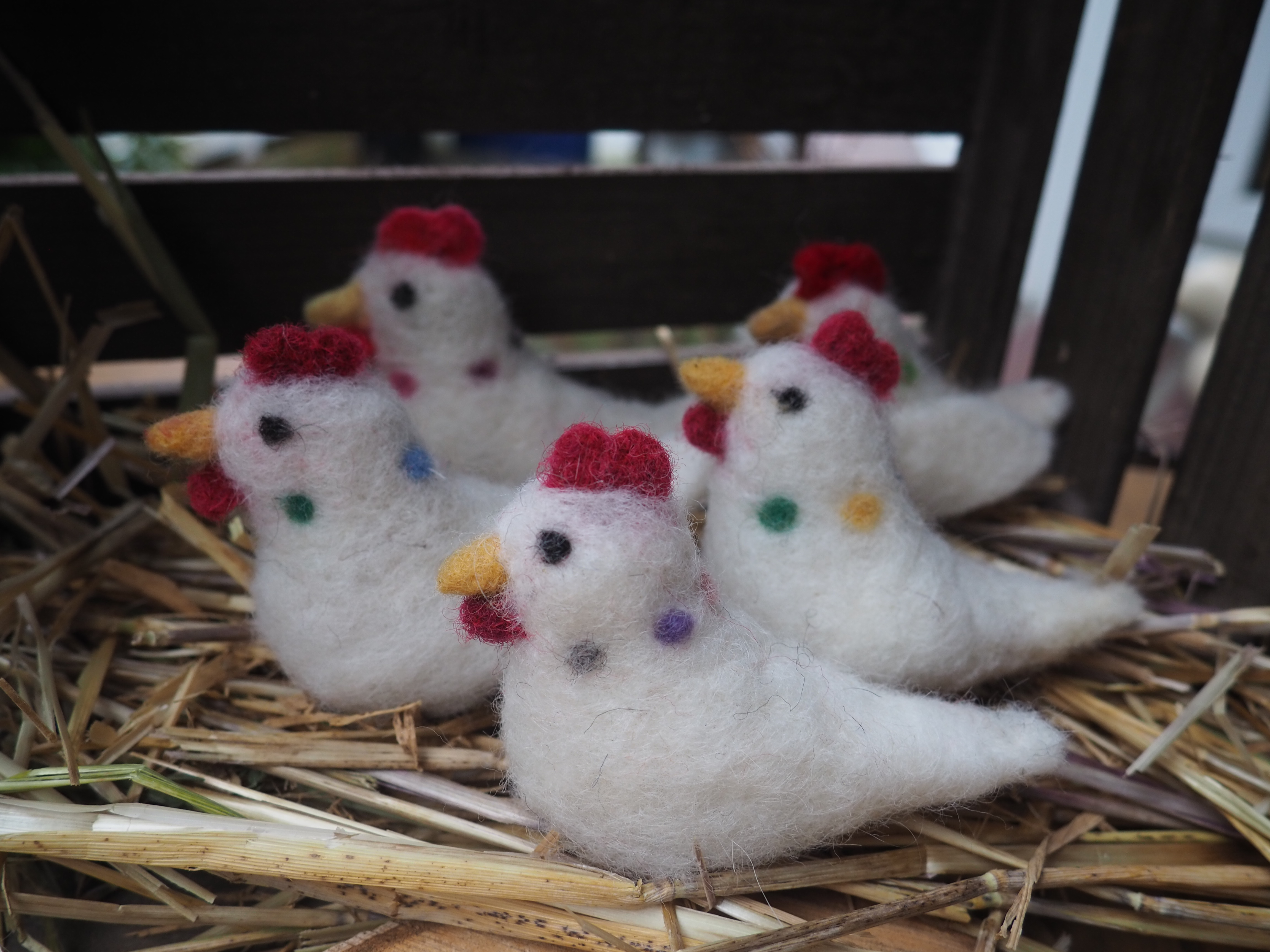 Wanna-Ahlenmoor-Land-Hadeln-Filzkurse-f-r-Kinder-und-Erwachsene-in-den-Osterferien