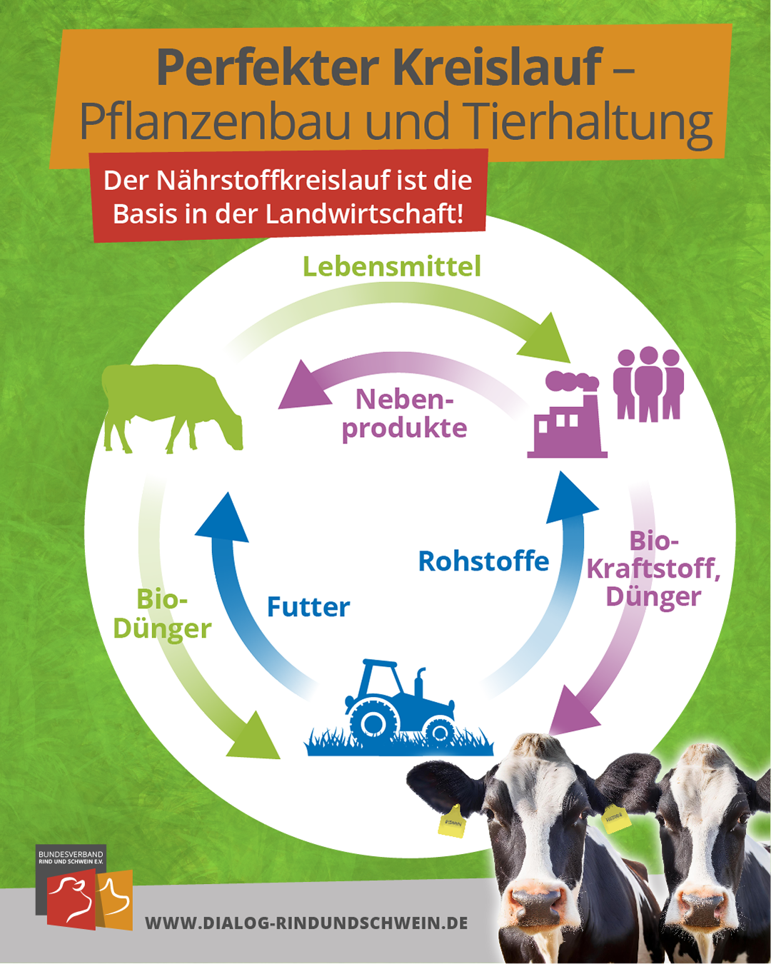 BRS zum Weltmilchtag: Milchkhe sind das 8. Weltwunder, Bundesverband Rind  und Schwein e.V. (BRS), Story - lifePR