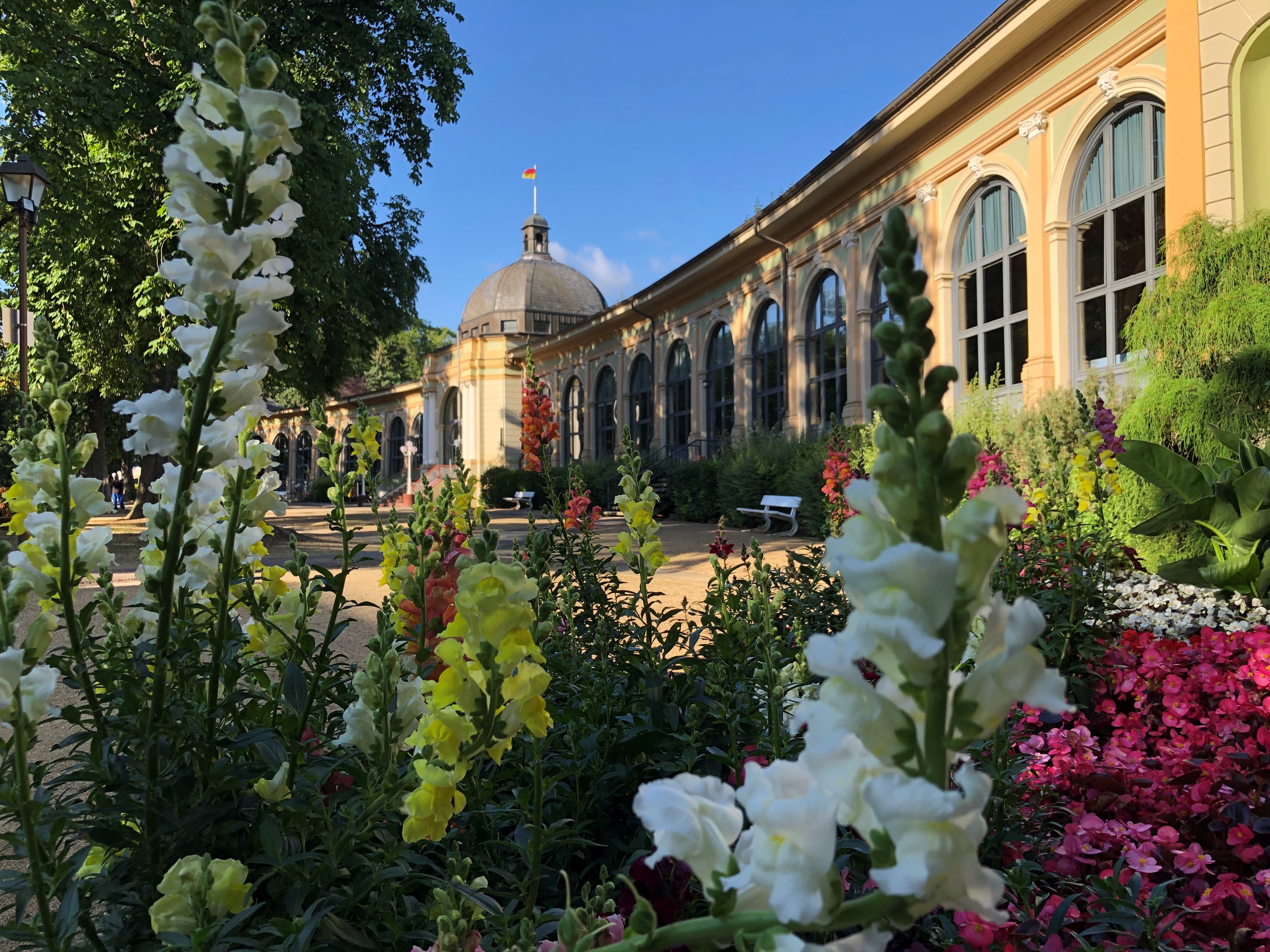Weinfest-in-Bad-Harzburg-vom-26-Juni-29-Juni-2025-im-Oberen-Badepark