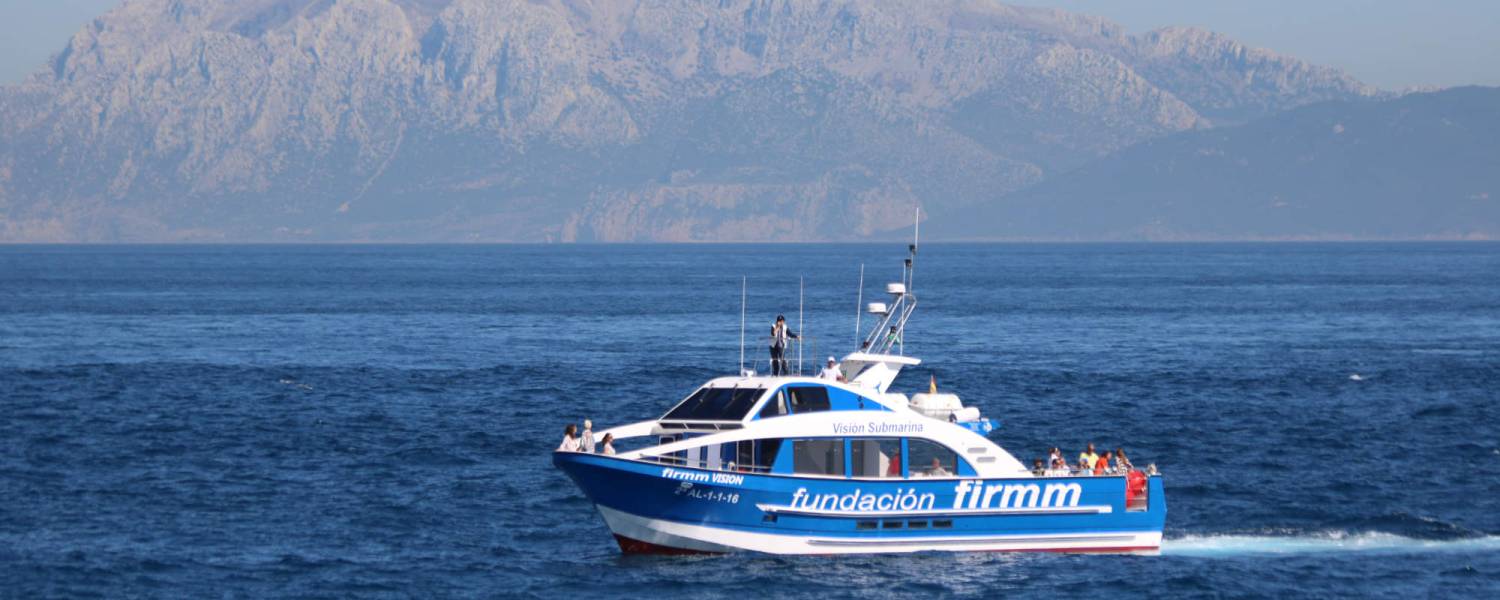 Mit-Reisen-Gutes-tun-travel-to-nature-startet-Patenschaftsprogramm-f-r-den-marinen-Artenschutz