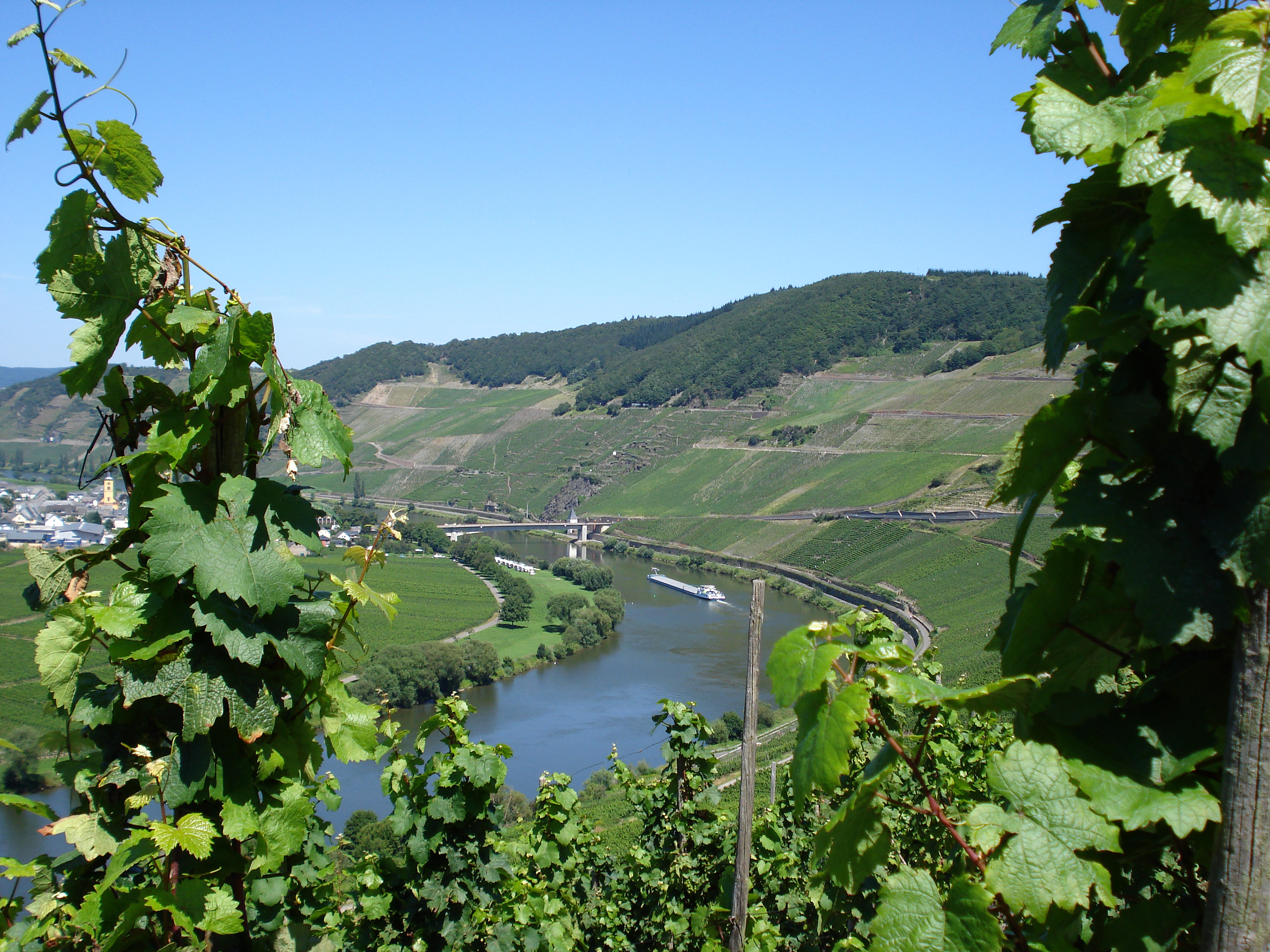 Долина Мозеля Люксембург вина