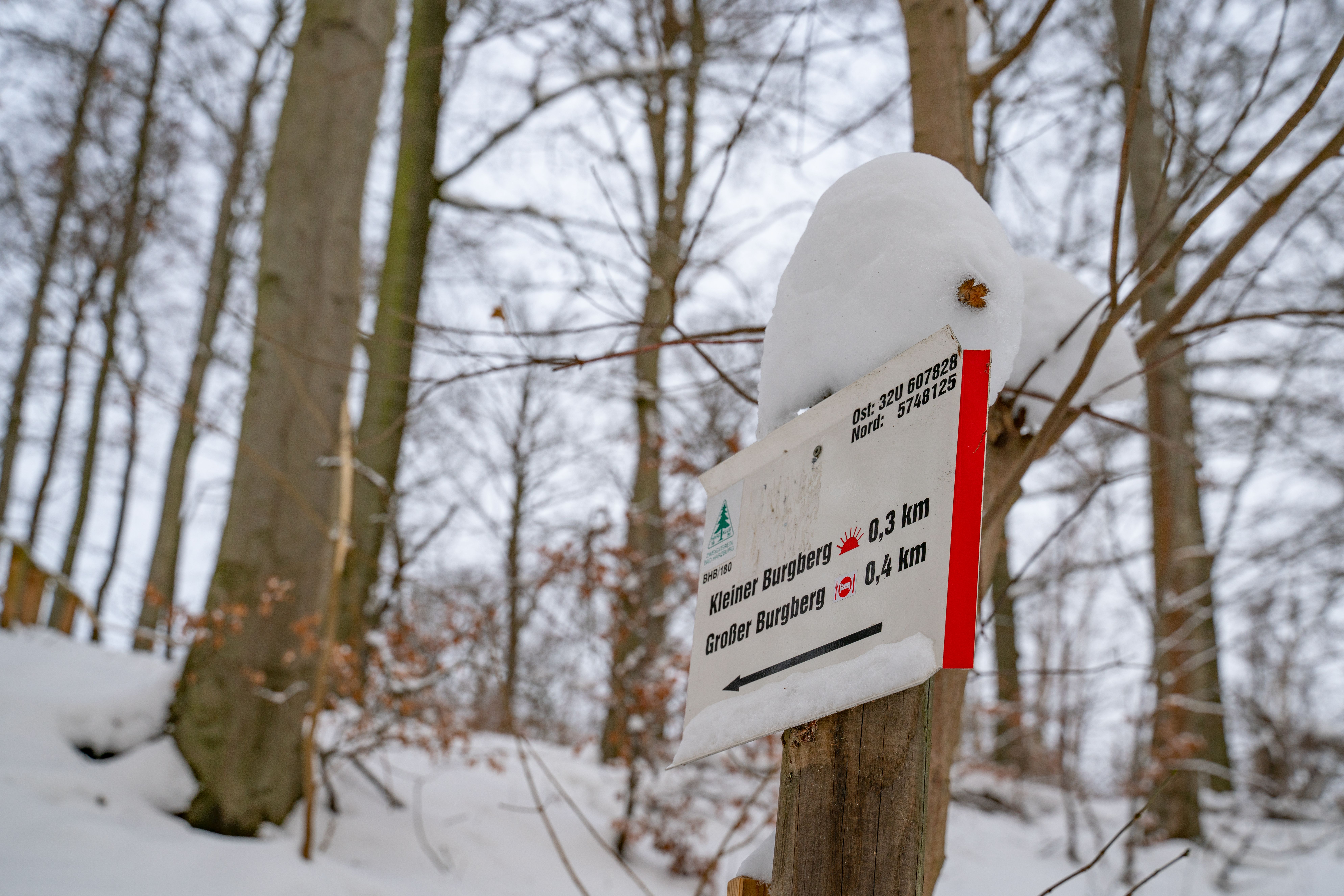 Sonnenweg-im-Winterzauber-und-Sachsenbrunnen