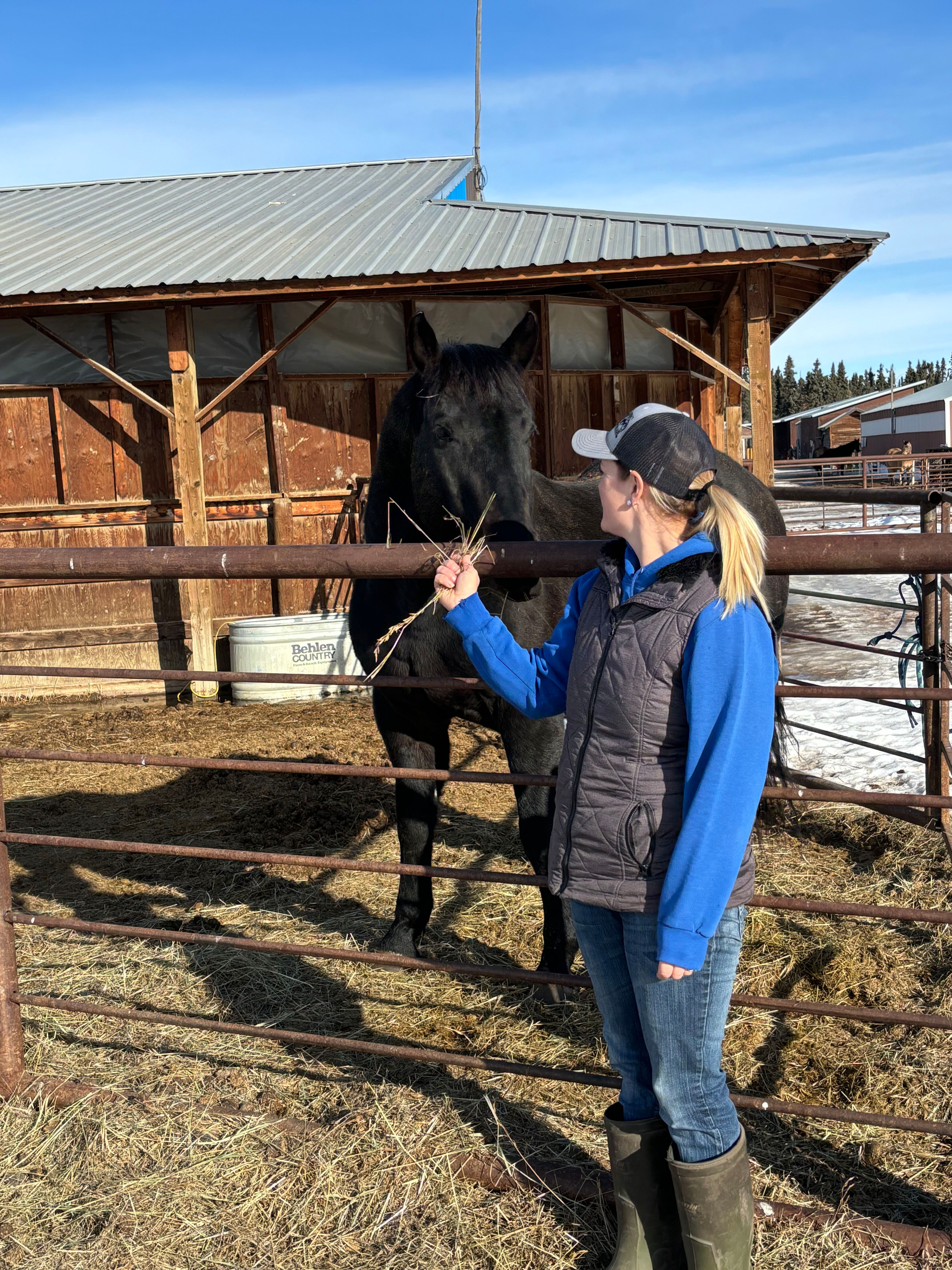 Auf-einer-kanadischen-Ranch-den-Alltag-erleben-Mit-einem-Stipendium-von-Experiment-einen-Ranchstay-in-Kanada-verwirklichen