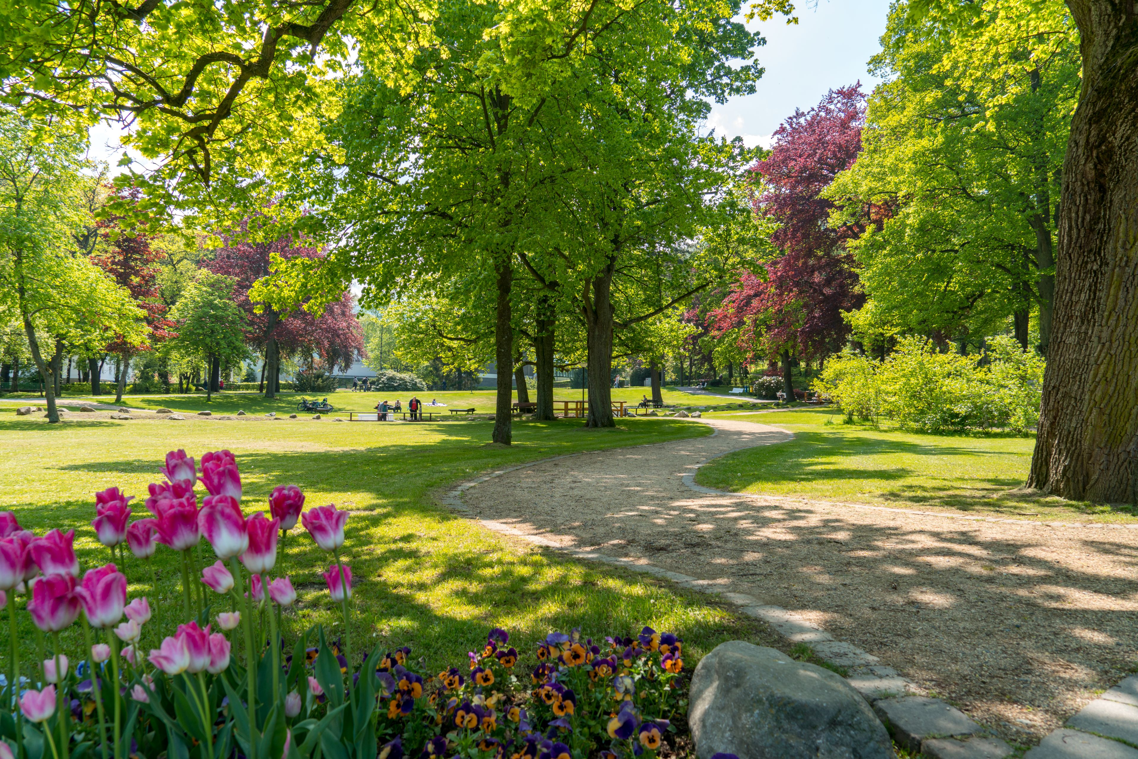 Sanierungsarbeiten-am-Tretbecken-im-Kurpark