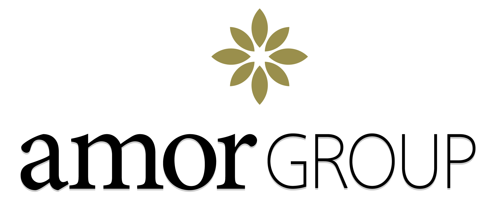 Amor Group Innovativer Konzeptanbieter Mit Sich Erganzenden