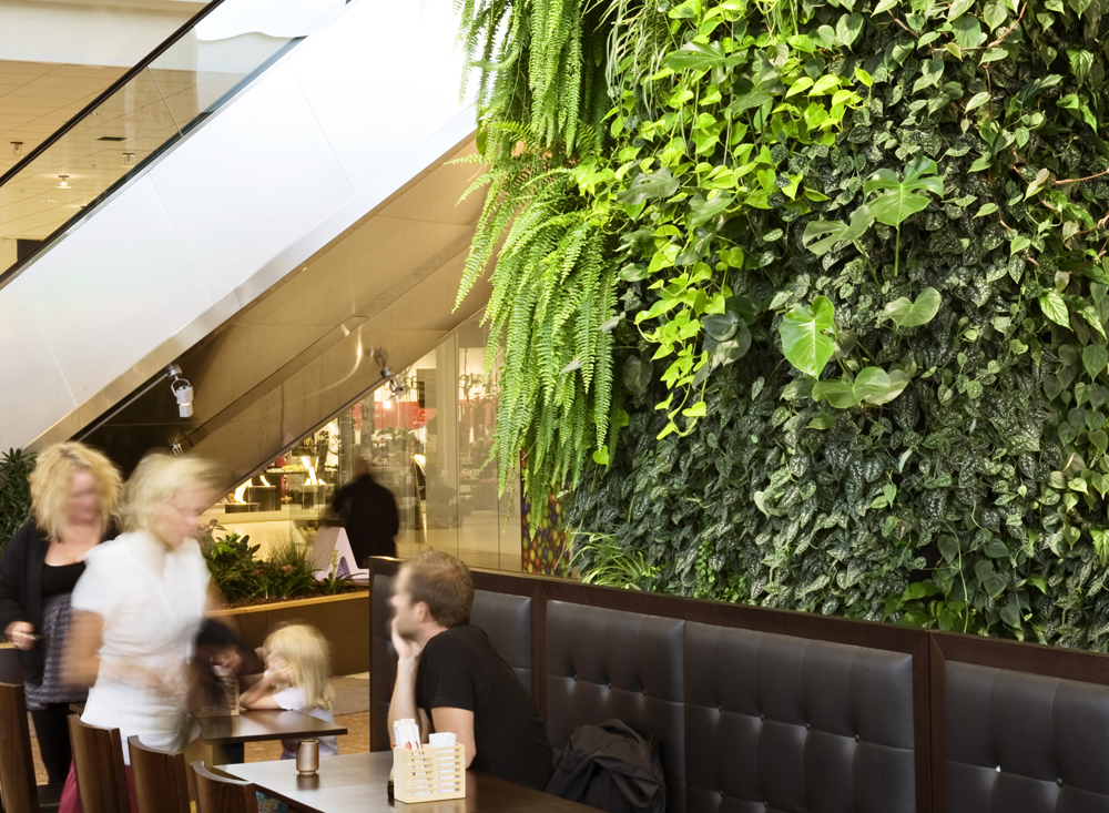 Vertikale Zimmergärten: So gelingt die Wandbegrünung, Immowelt AG