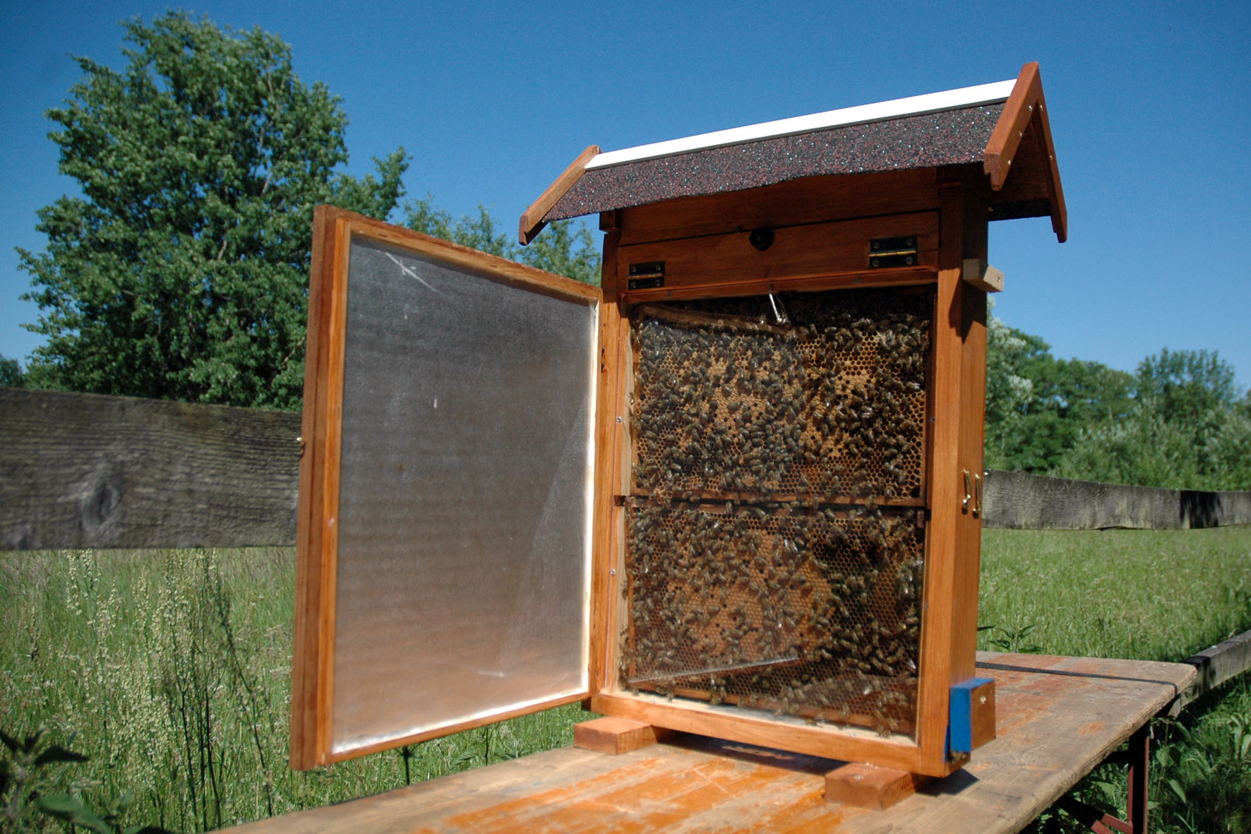 „Flotte Bienen, köstlicher Honig“, Wildpark Eekholt GmbH&Co.KG